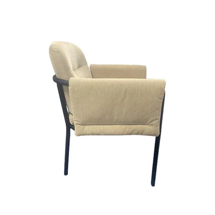 Metal Frame Dining Chair